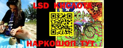 шишки Будённовск
