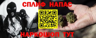 шишки Будённовск