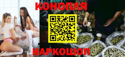 шишки Будённовск